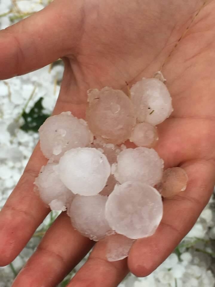 Isparta’da Elma, Kiraz Ve Şeftaliyi Dolu Vurdu