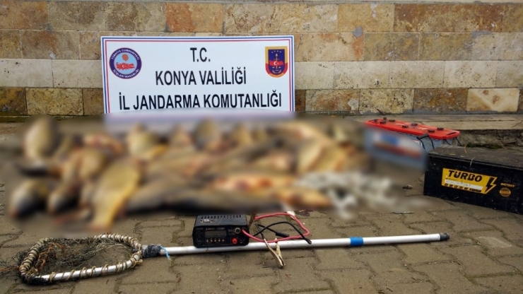 Beyşehir Gölü’nde Elektroşokla Balık Avına 60 Bin Lira Çevre Cezası