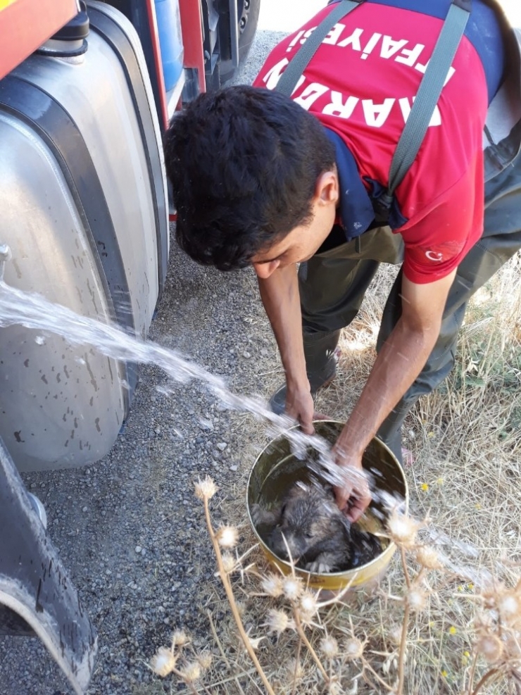 Rögara Düşen Yavru Köpek, İtfaiye Ekipleri Tarafından Kurtarıldı