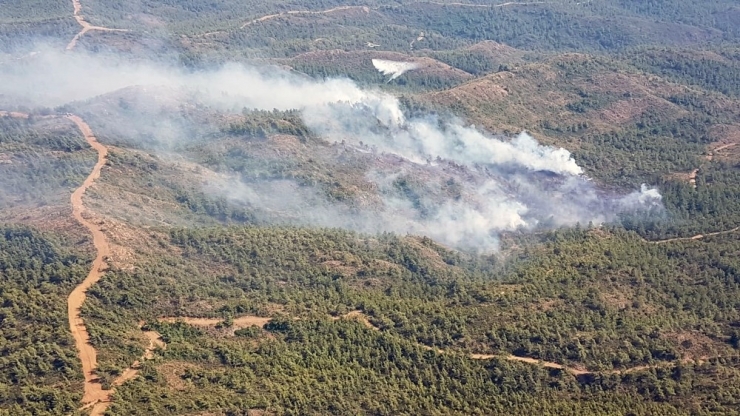 Marmaris Yangını 3 Hektarda Kontrol Altında