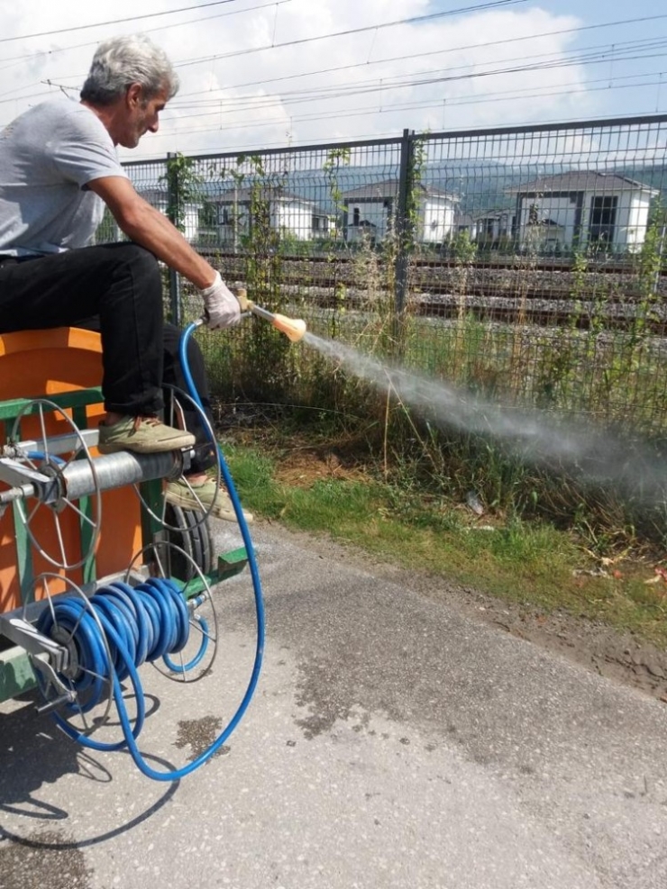 Sapanca Belediyesi Haşereyle Karşı İlaçlama Çalışmasına Başladı