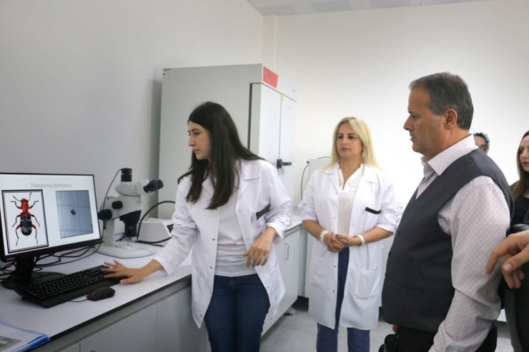 Faydalı Böceklerle Ormanlar Koruma Altında