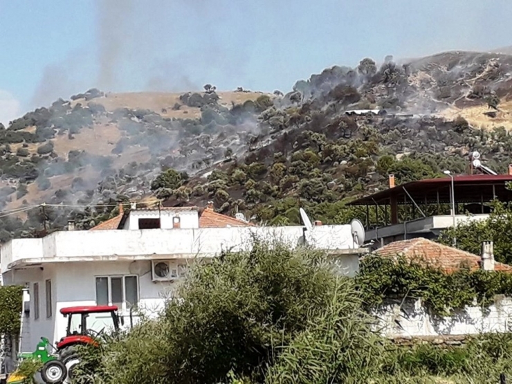 Koçarlı’da Arazi Yangını