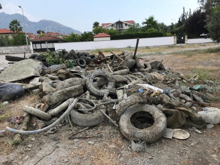 Dalyan Kıyı Dibi Usturmaça İle Dolmuş