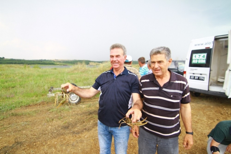 2 Bin Adet Kerevit Barajla Buluştu