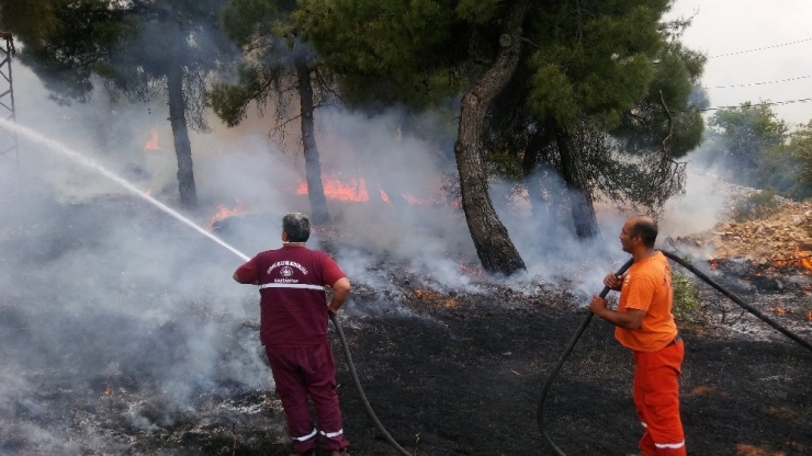 Gaziantep’te Orman Yangını
