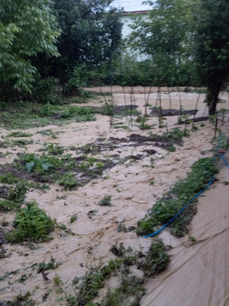 Sağanak Kısa Sürede Sele Dönüştü