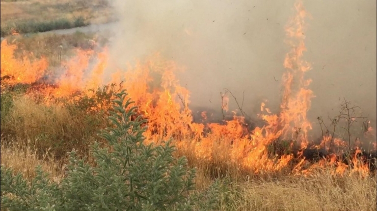 Alevler Evlere Sıçramadan Söndürüldü