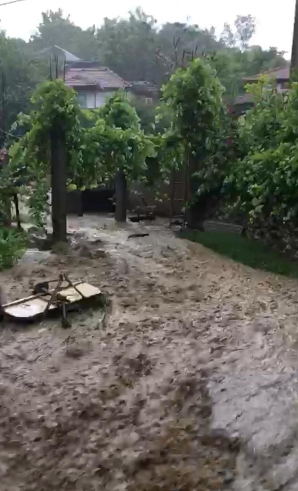 Kocaeli’ndeki Sel Hasara Neden Oldu