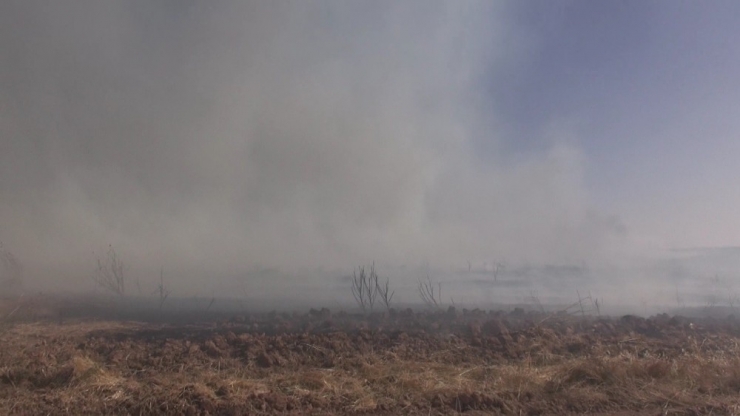 Yakılan Anızlar Doğal Hayatı Tehdit Ediyor