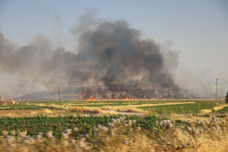 Mayınlı Arazide Korkutan Yangın