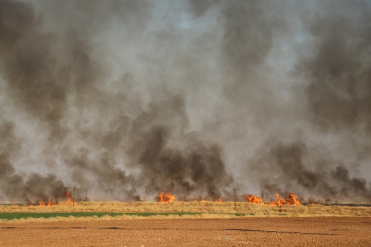 Mayınlı Arazide Korkutan Yangın