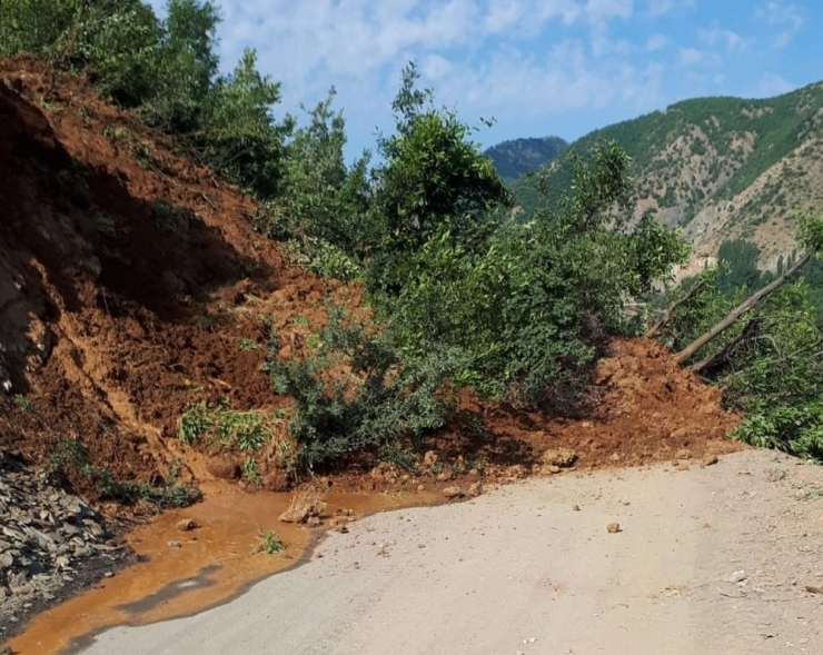 Siirt’te Ağaçların Devrilmesi Sonucu Yol Ulaşıma Kapandı