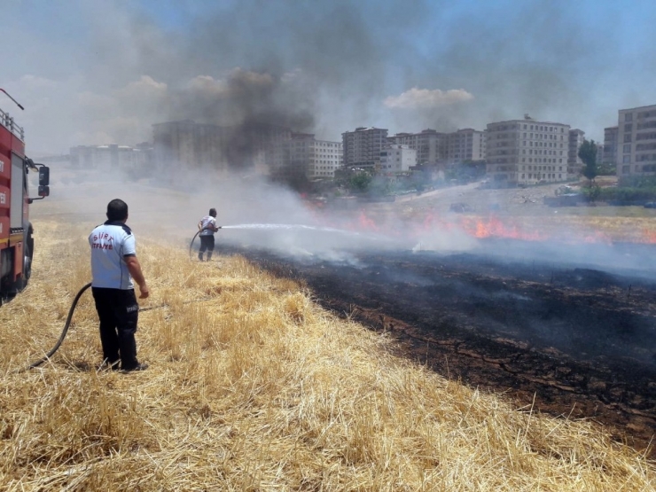 Siirt’te 100 Dönümlük Alan Kül Oldu
