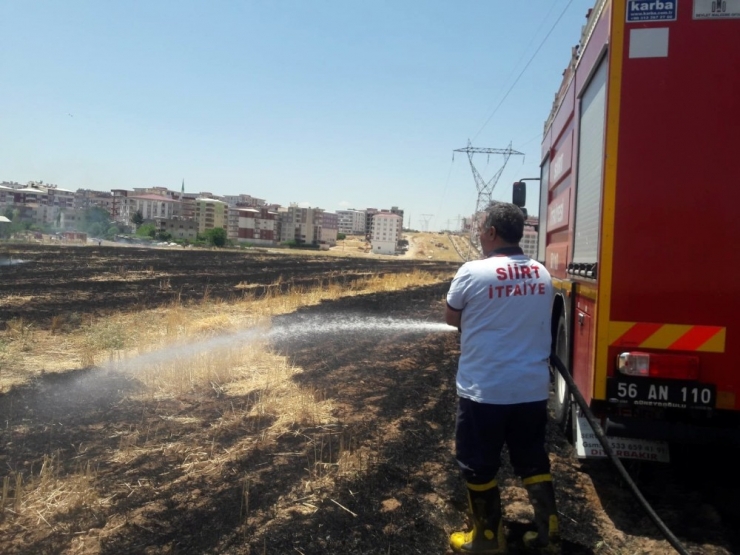 Siirt’te 100 Dönümlük Alan Kül Oldu