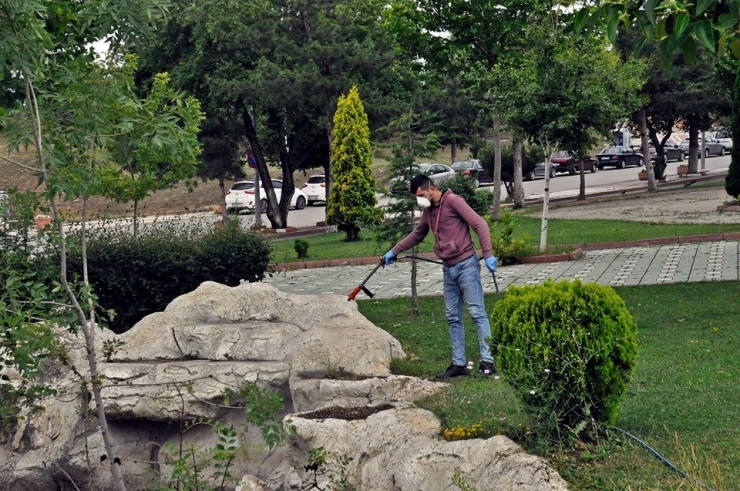 Söğüt’te İlaçlama Çalışmaları Devam Ediyor