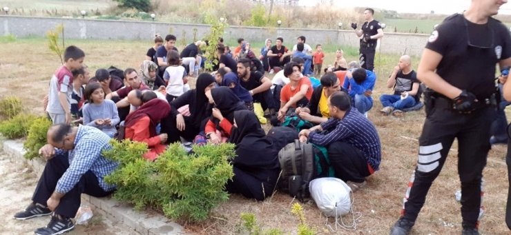 Şoför Kaçtı 66’sı Doğada Bu Halde Bulundu