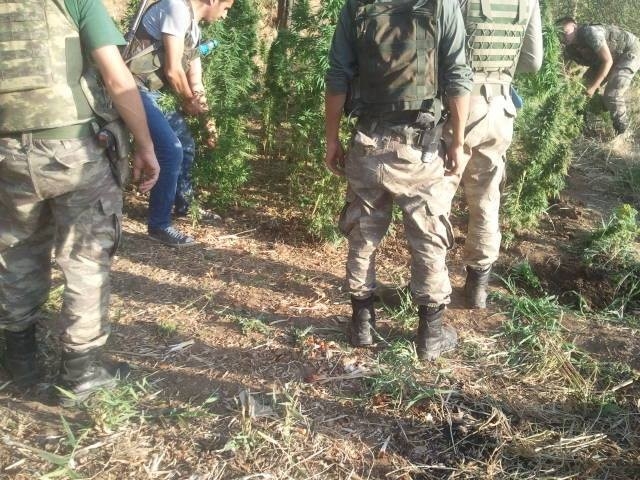 Sason’da Uyuşturucu Şebekesine Operasyon