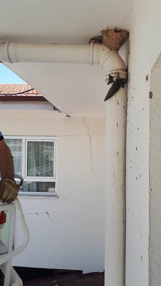 Binanın Çatı Kısmındaki Boruya Sıkışan Kırlangıcı İtfaiye Kurtardı