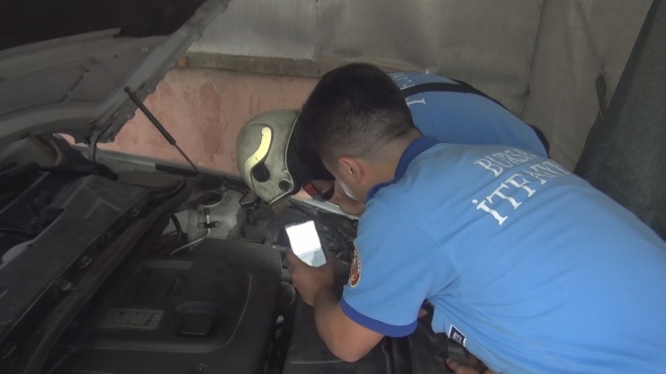 Arabaya Giren Yavru Kedi Gurbetçi Aileye Zor Anlar Yaşattı