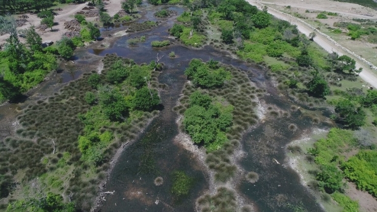 Karacabey Longozundan Mangal Sefası Yasak