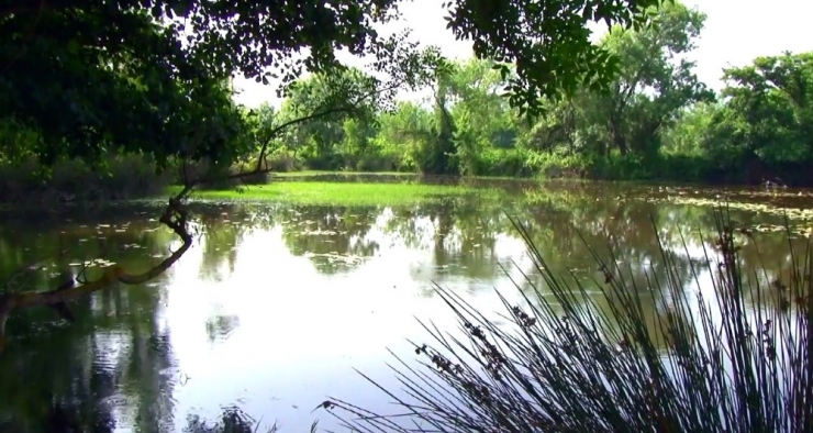 Karacabey Longozundan Mangal Sefası Yasak