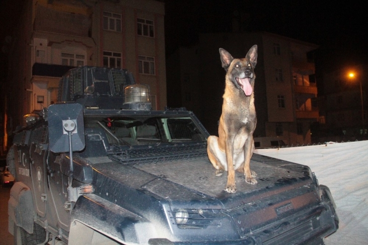 Silah Çekip Eve Saklandılar, Özel Harekat Timi Operasyonla Yakaladı