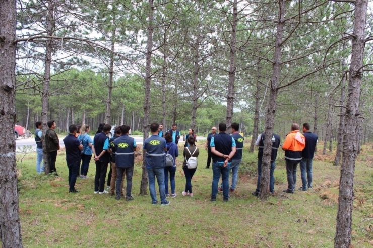 Ormanda Yağmur Altında Seminer