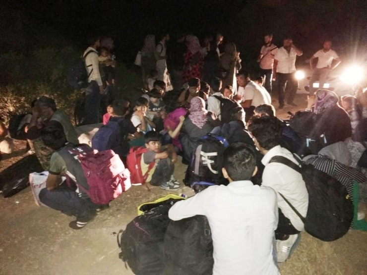 Ayvalık’ta Polisten Nefes Kesen Mülteci Operasyonu