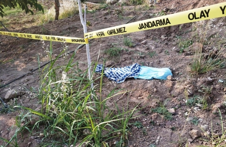 Kayıp 6 Yaşındaki Çocuk Sulama Havuzunda Ölü Bulundu