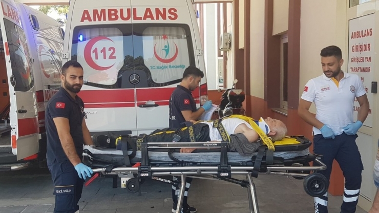 Antalya’da Erik Ağacından Düşen Yaşlı Şahıs Yaralandı