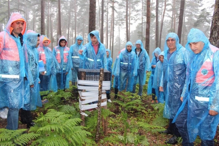 Ormanda Yağmur Altında Seminer