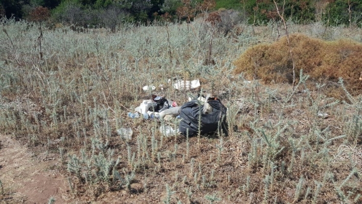 Dünyaca Ünlü Akvaryum Koyunda 4 Saatte 33 Poşet Çöp Toplandı