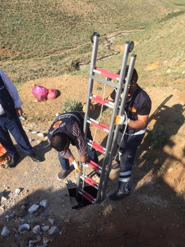 Van’da Köpek Kurtarma Operasyonu