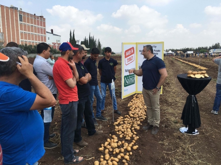 Yerli Ve Milli Patates Nahita’da Hasat Başladı