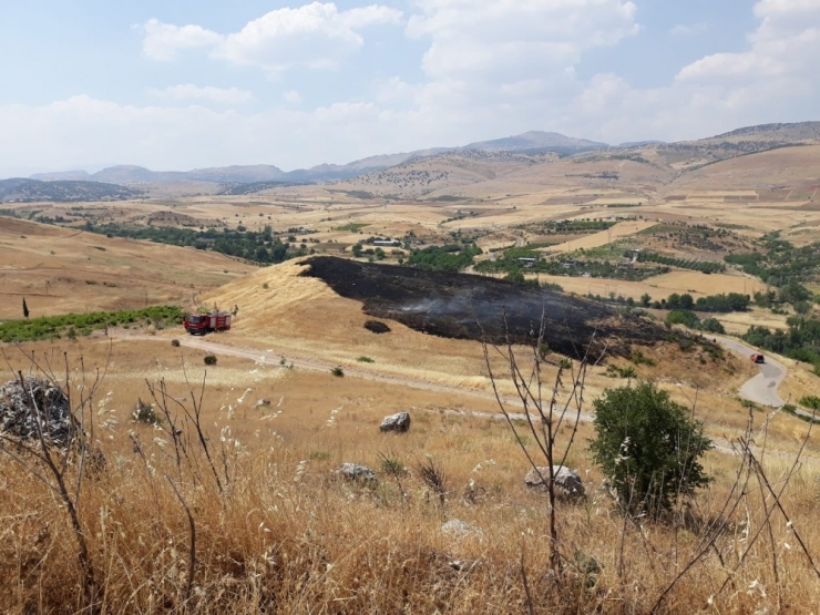 Anız Yangını Bağa Sıçramadan Söndürüldü