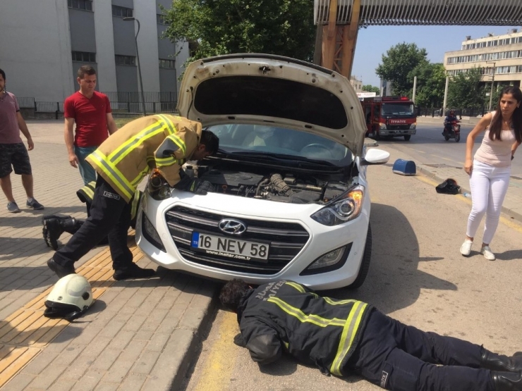 Araca Sıkışan Kediye ’Playback’ Kurtarma