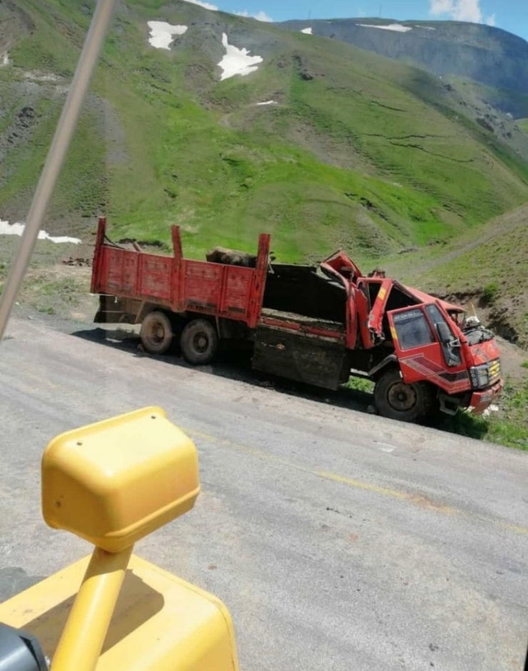 Büyükbaş Hayvan Yüklü Kamyon Takla Attı, 5 İnek Telef Oldu