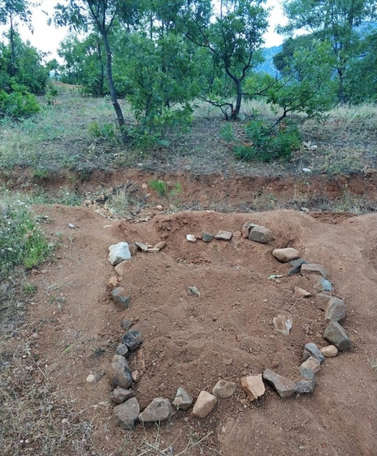 Evinin Bahçesinde Oynayan Çocuğu Akrep Soktu