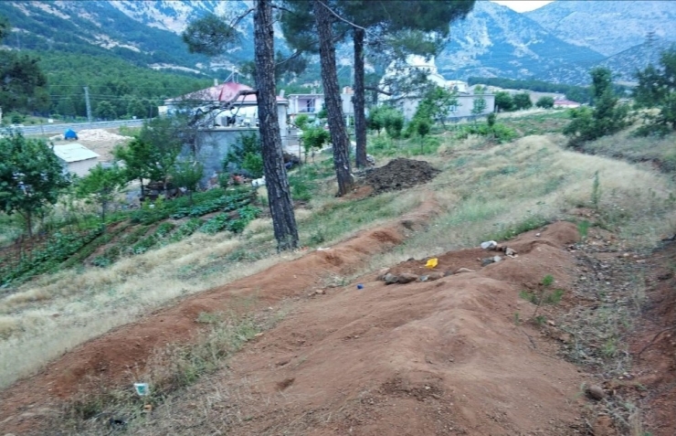 Evinin Bahçesinde Oynayan Çocuğu Akrep Soktu