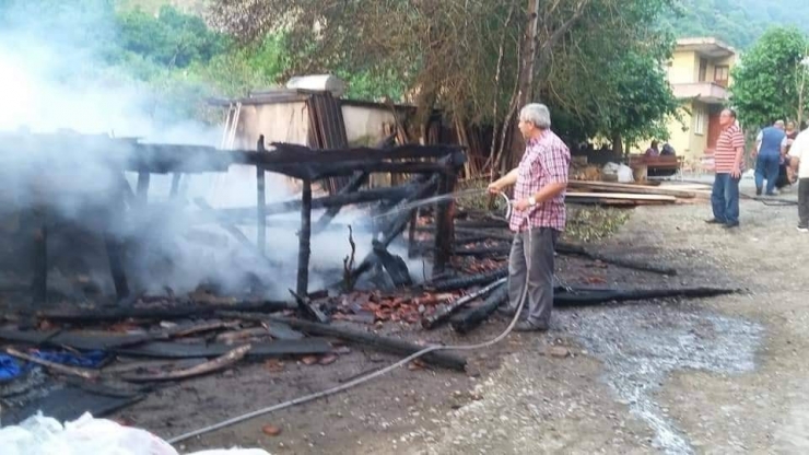 Cide’de Çıkan Yangında İki Ev Kullanılamaz Hale Geldi