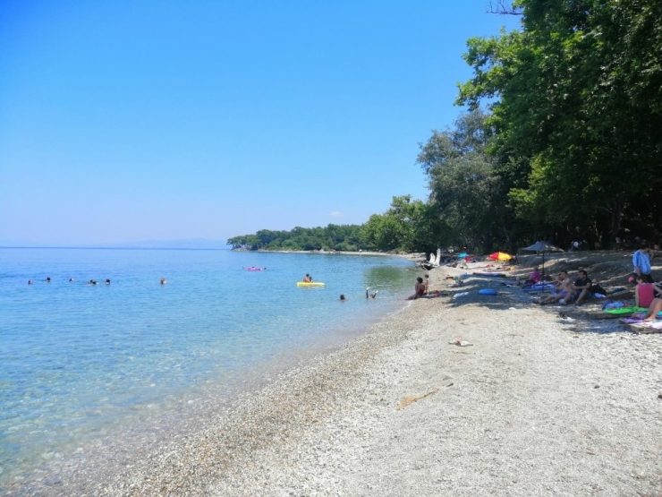 Milli Park Sınırları İçerisinde Hayvan Beslenmesi Yasaklandı