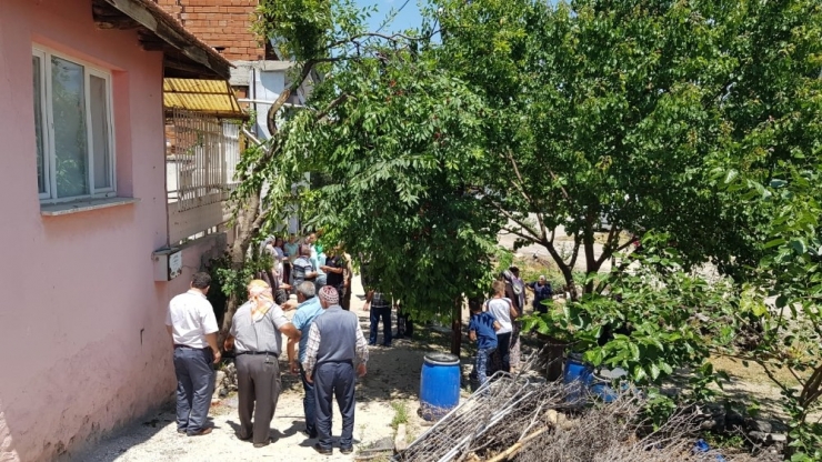 Ağaçtan Düşen Adam Yaralandı