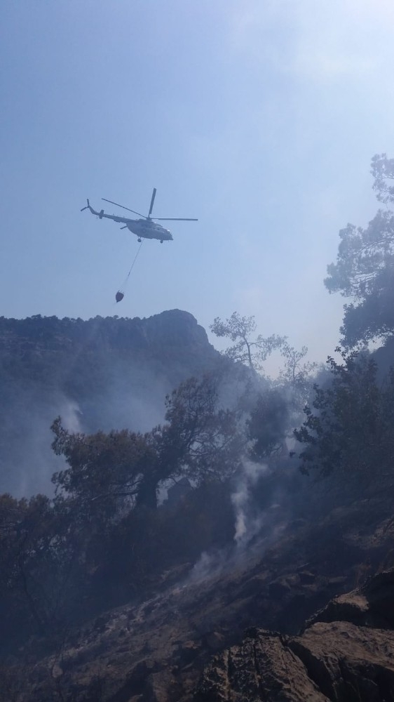Mersin’de Orman Yangını