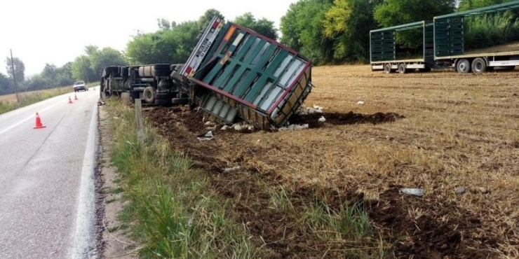 Osmaniye’de Tır Devrildi: 4 Bin Tavuk Telef Oldu