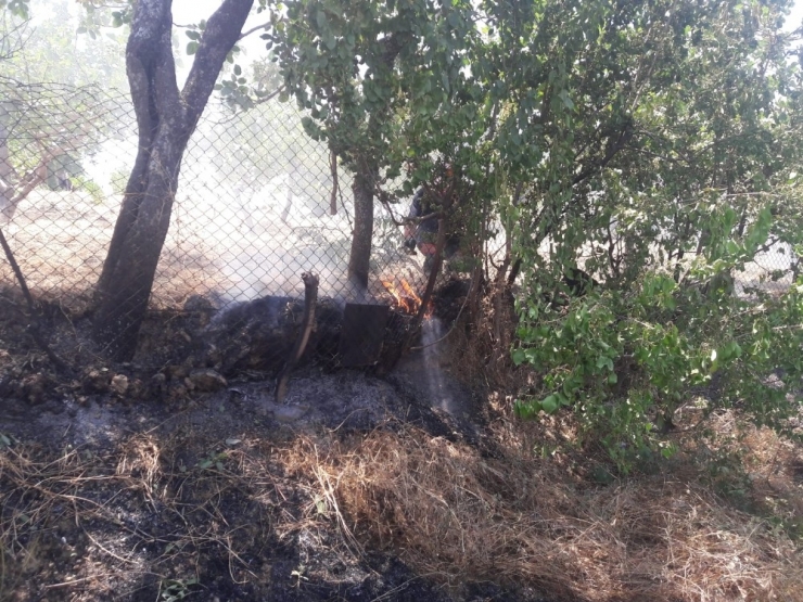 Siirt’te Fıstık Bağlarında Çıkan Yangında 200 Dönüm Alan Zarar Gördü