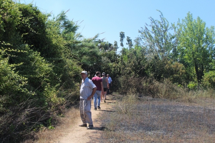 Antalya’da Ot Çalı Yangını