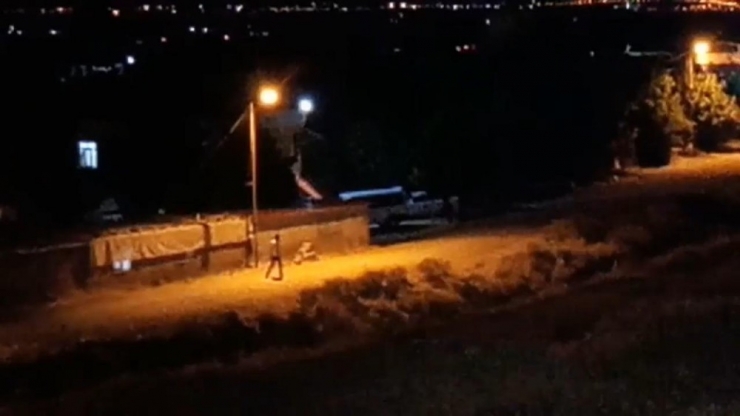 Diyarbakır’da Kuru Sıkılı Maganda