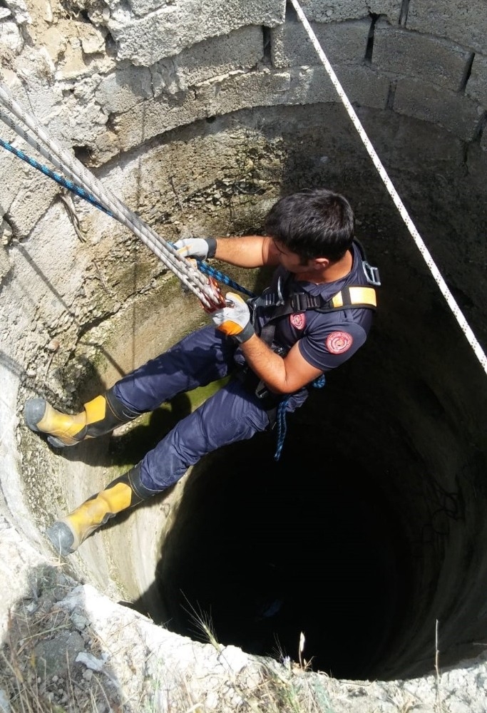 Kuyuya Düşen İnek, 5 Saat Süren Çalışmayla Kurtarıldı