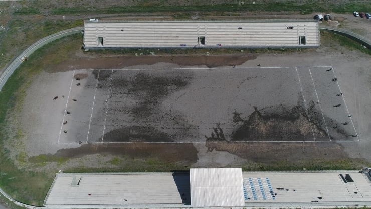 Ata Sporu Atlı Cirite Kadın Eli Değdi